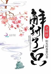 汽车公司？不，是国货之光