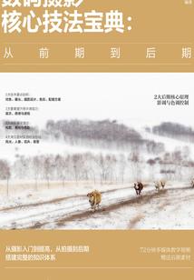 幸福敲门