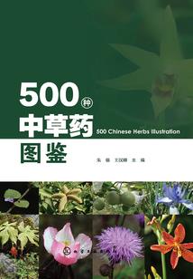 强迫的意外