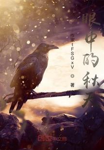 偷星之黑王