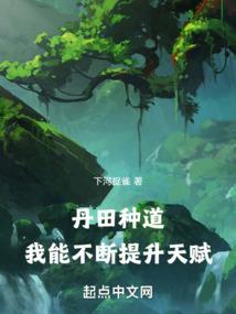 大汉周公袁本初