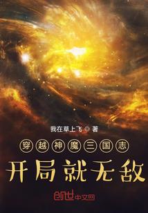 总裁请停下