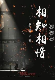 骑士王者