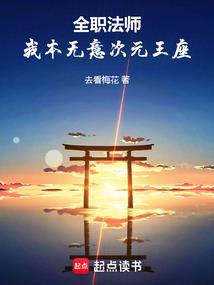 光之末裔