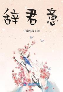 魔法守护骑士