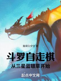 新上门女婿传