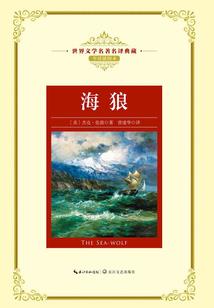 九天流云纪