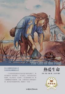 穿越之幻想系统