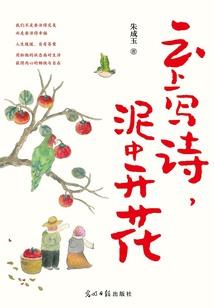 男妃变