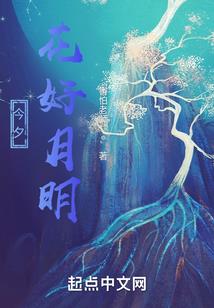 废柴王妃之穿越很坑爹