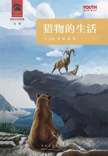 血泪斑斑雨花石