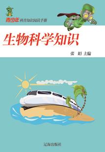 我在新世界