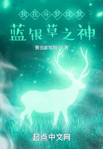 二次元大直播